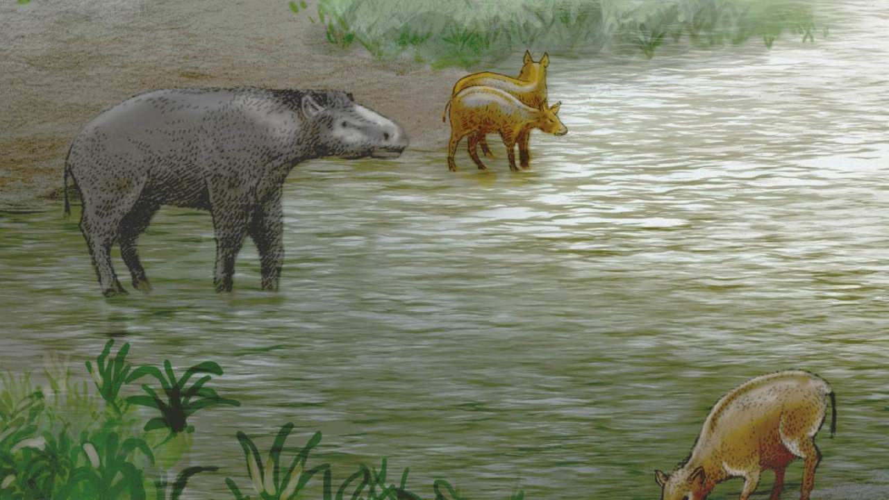 古生物学家发现新的已灭绝的伪马物种