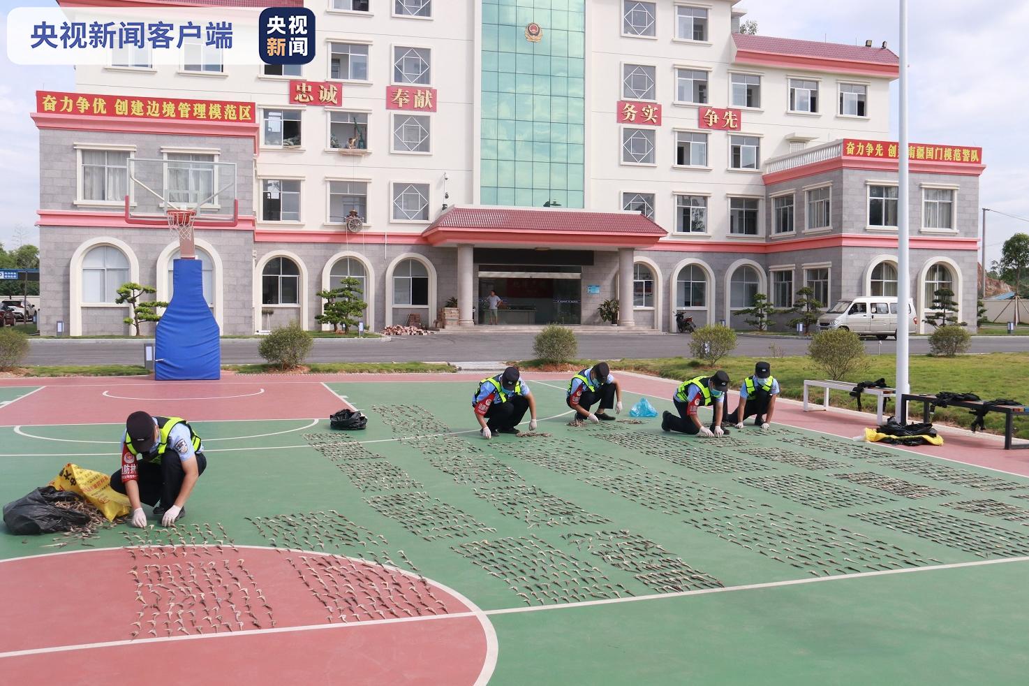 △图为民警正在清点海马干 饶友江/摄