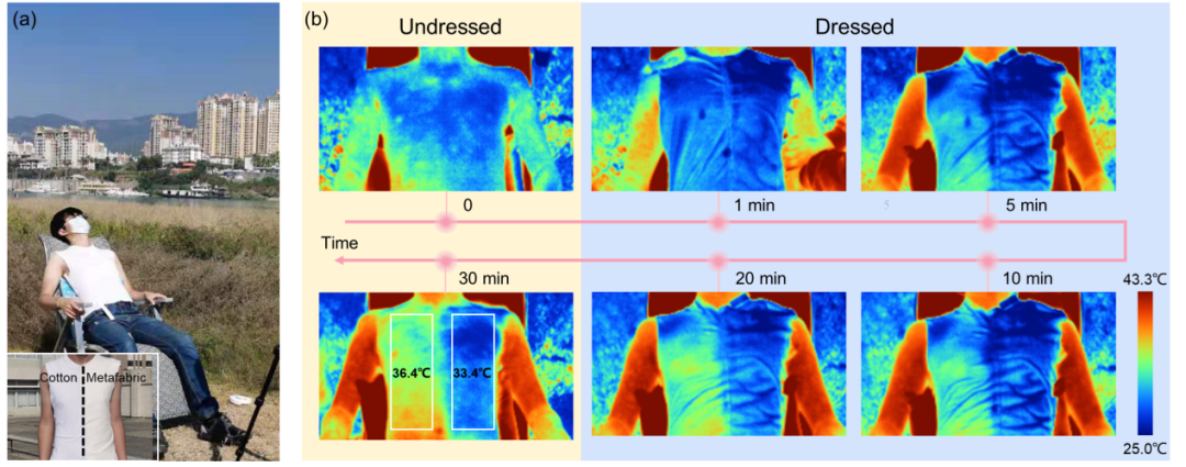 (b)&nbsp;超材料织物人体降温测试红外图