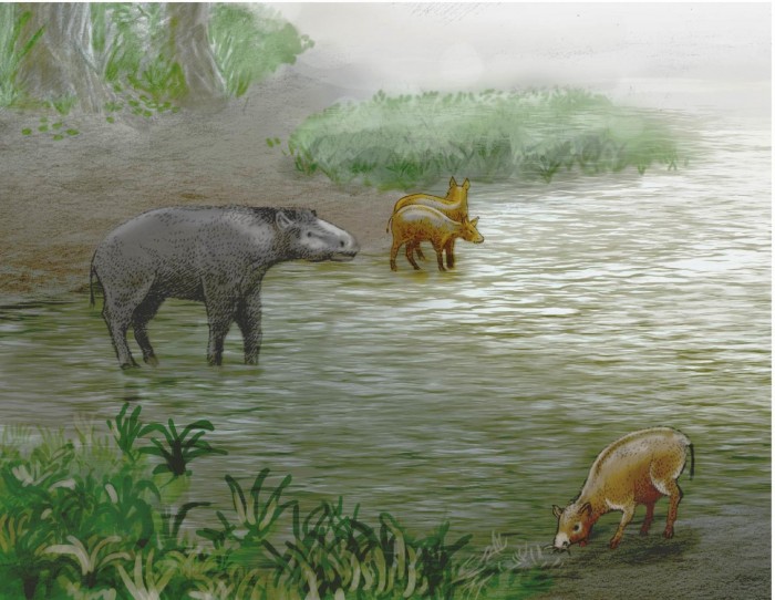 古生物学家发现两种新的、已灭绝的伪马物种