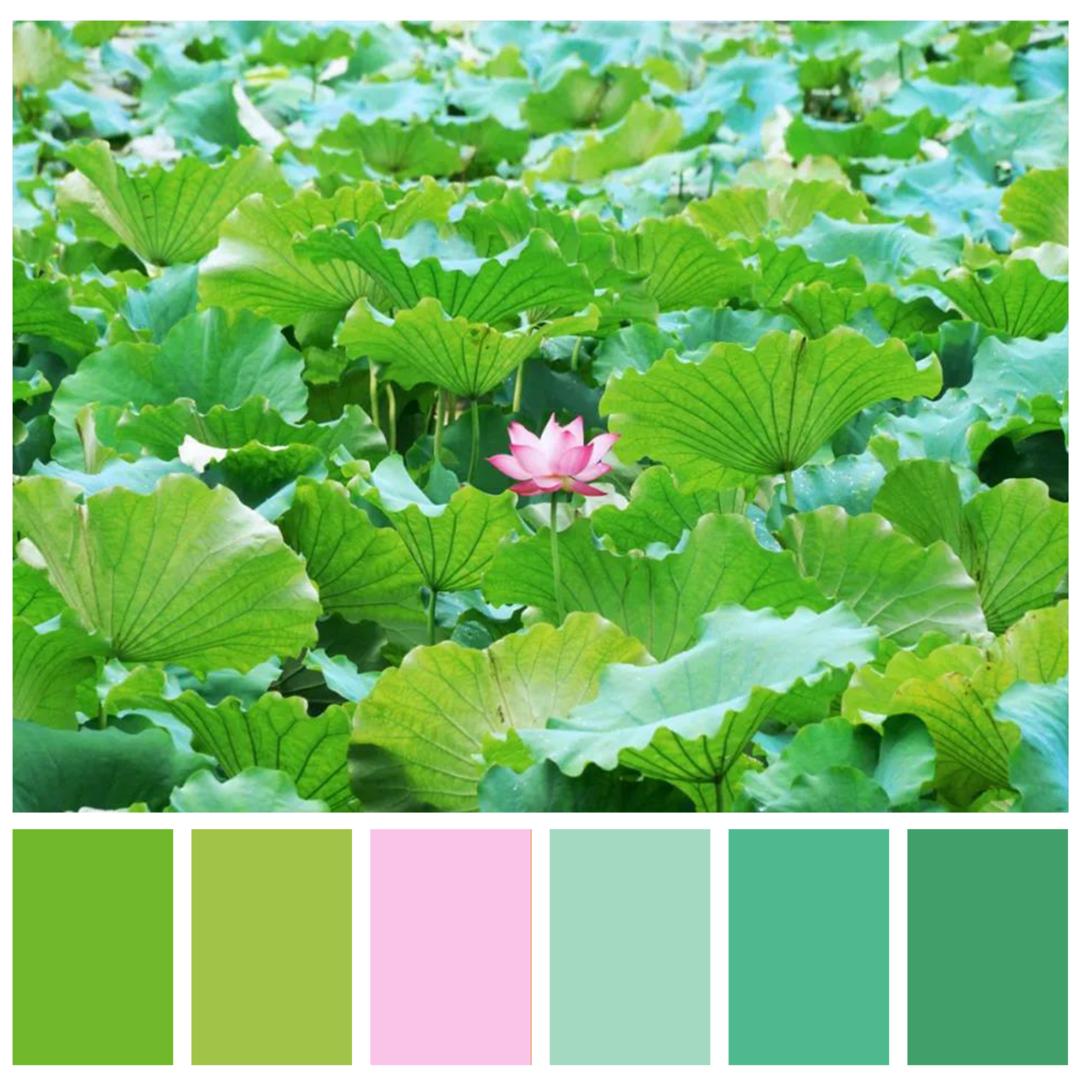 武大夏日限定绝了