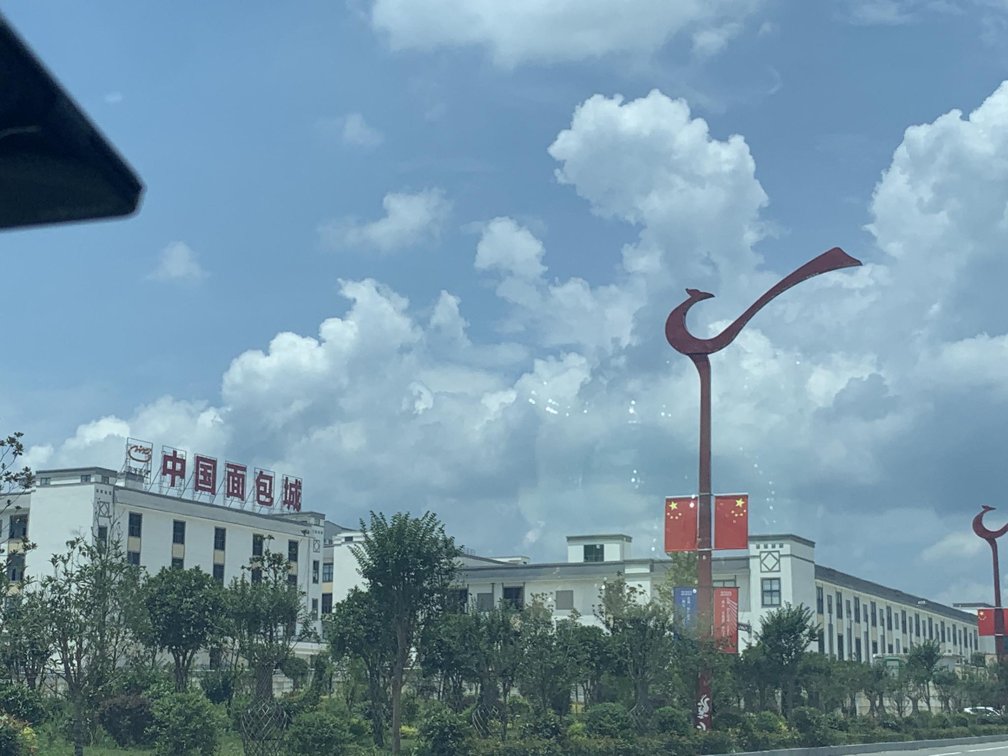 图片来源:时代周报记者 摄