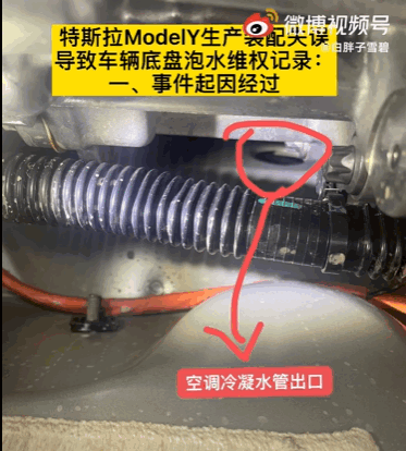 Model Y提车三月变泡水车 特斯拉：晒干后不影响使用拒退车