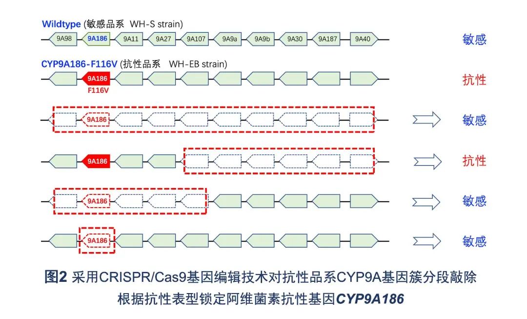 医用臭氧怎么获得南农前沿 ｜ 近期科研成果扫描_https://www.jmylbn.com_新闻资讯_第1张