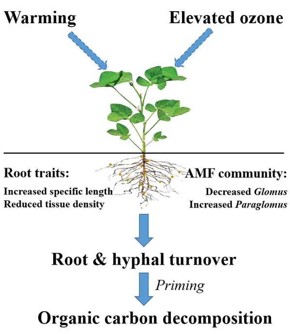 医用臭氧怎么获得南农前沿 ｜ 近期科研成果扫描_https://www.jmylbn.com_新闻资讯_第2张