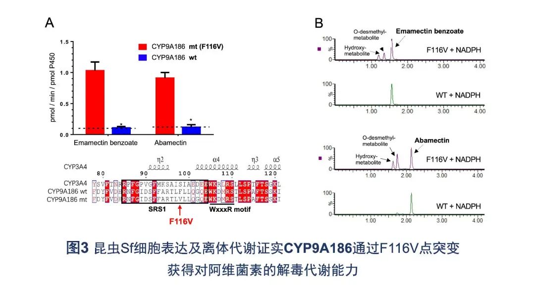 医用臭氧怎么获得南农前沿 ｜ 近期科研成果扫描_https://www.jmylbn.com_新闻资讯_第8张