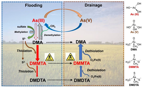 医用臭氧怎么获得南农前沿 ｜ 近期科研成果扫描_https://www.jmylbn.com_新闻资讯_第15张