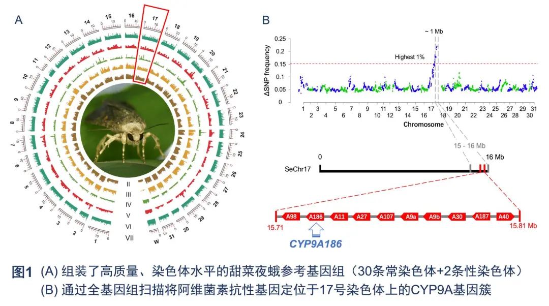 医用臭氧怎么获得南农前沿 ｜ 近期科研成果扫描_https://www.jmylbn.com_新闻资讯_第6张