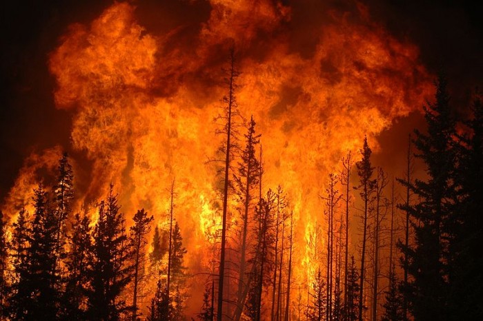 加拿大 168 起山火正在燃烧 联邦政府欲派军队支援