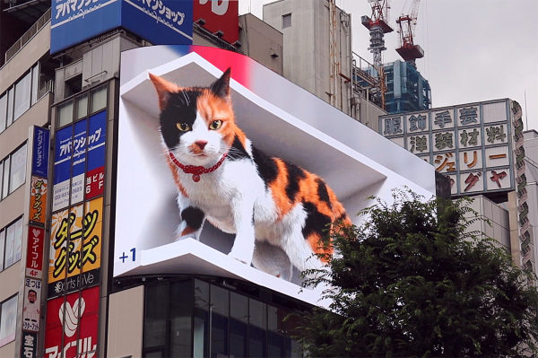 日本新宿东口突现巨型猫咪 引发路人围观网友热议