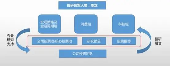 图:金鹰权益策略分组