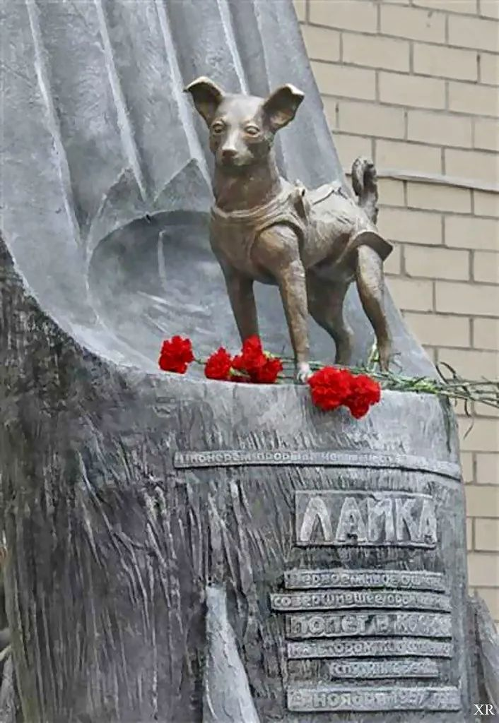 “登入太空第一狗”莱卡的纪念碑 