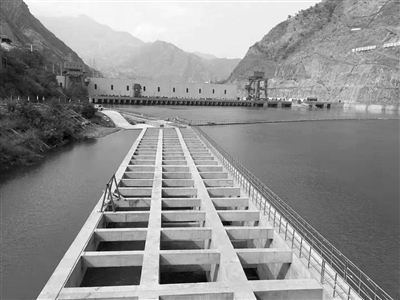 鱼撞大坝的惨剧不再上演长江鱼有了回家"专线"|水电站|长江_新浪科技