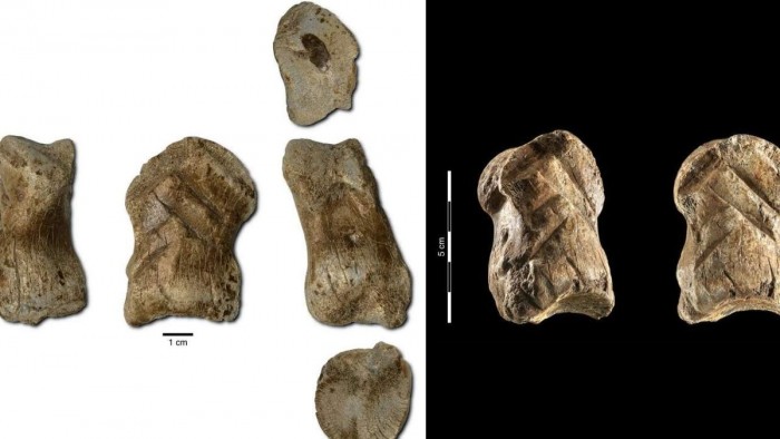 [图]尼安德特人的骨雕被发现：或许是最古老的艺术品