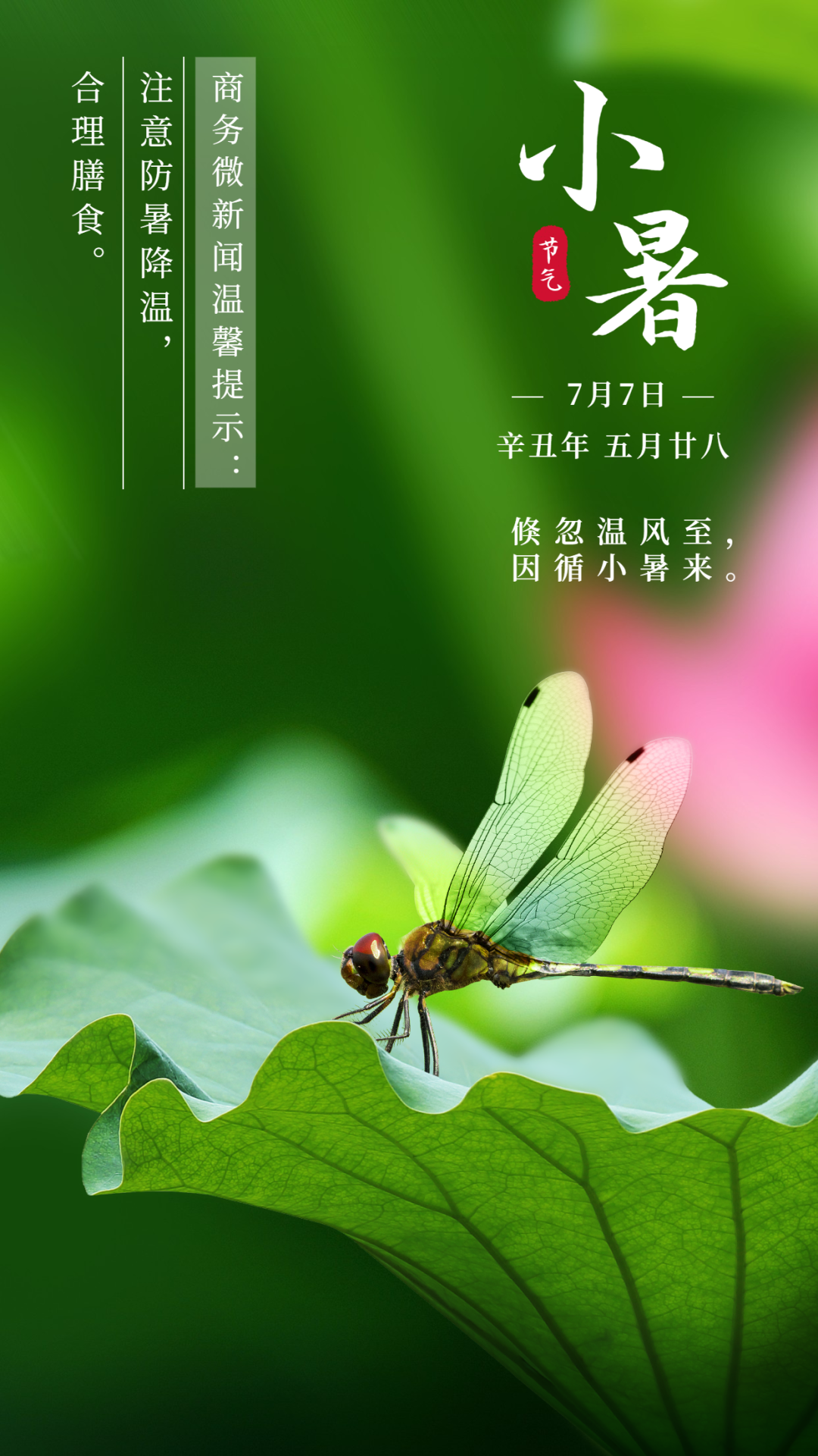 二十四节气|今日小暑,温风至,盛夏始