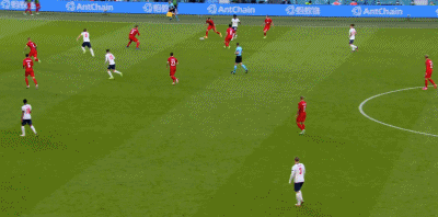 小舒梅切尔的神扑