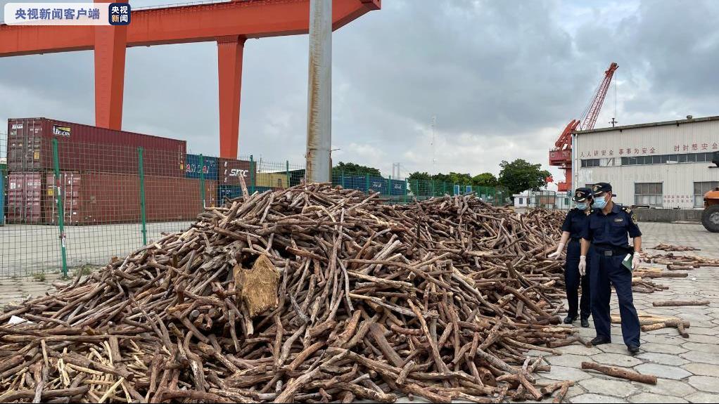 广州黄埔海关查获濒危物种黄檀木27.78吨
