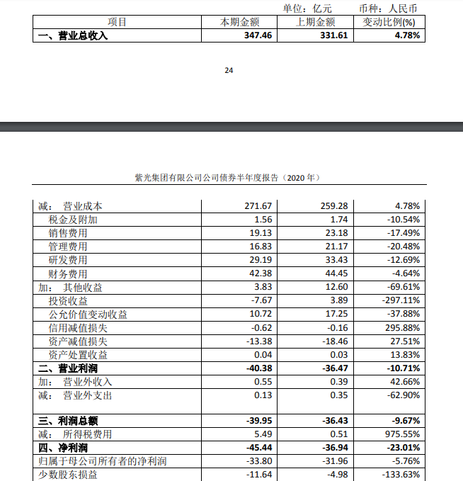 图片来源：紫光集团公司债券2020年半年报