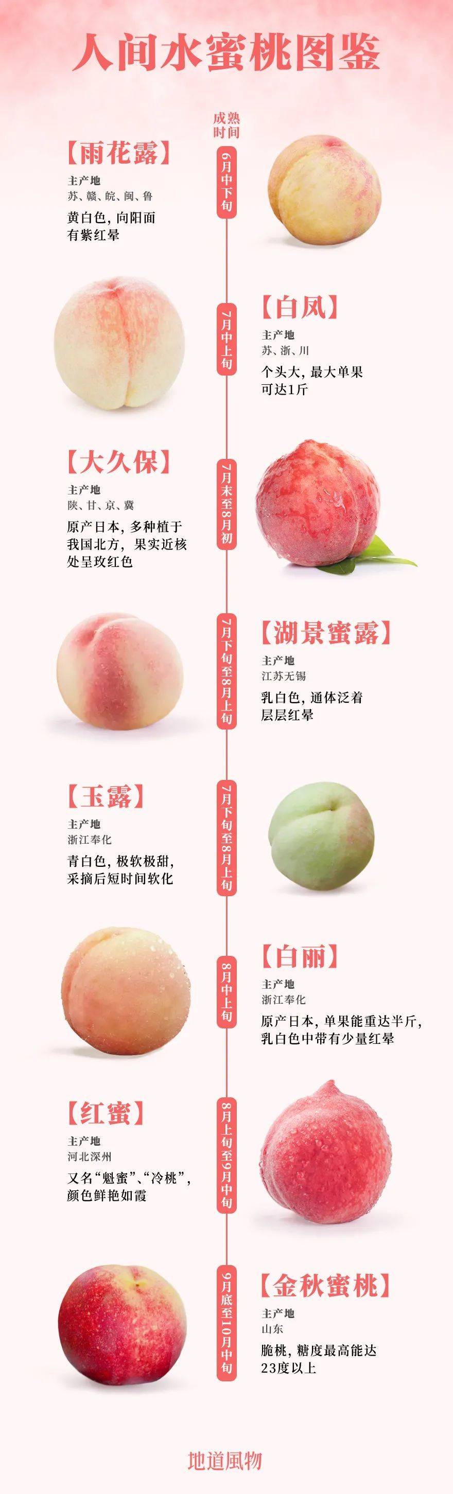 ▲如今市面上部分知名的蜜桃和水蜜桃（其中金秋蜜桃为脆桃）。设计/刘航