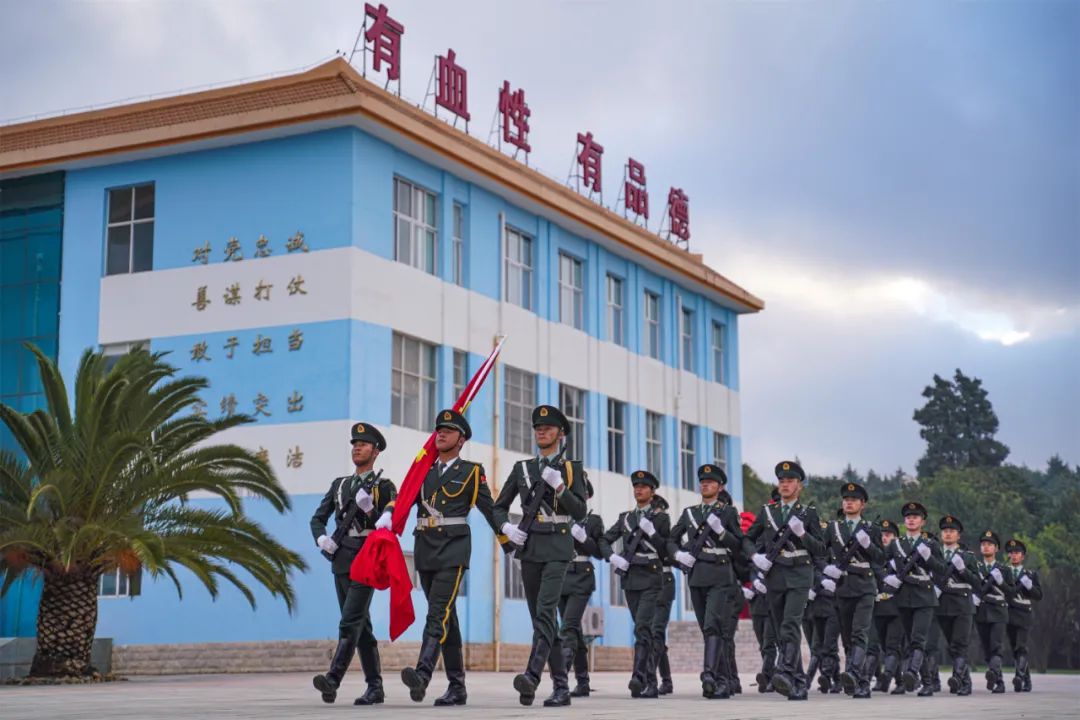 (张芸荟,罗聪,李昌奇,薛家豪)海军某部(刘瑞岩)