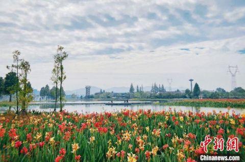 富阳阳陂湖湿地。　富阳区委宣传部供图