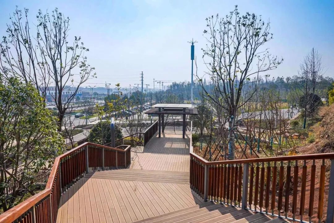 金华赤山公园正式开园一睹最新实景图