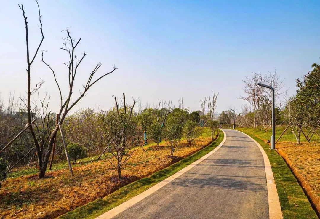 金华赤山公园正式开园一睹最新实景图