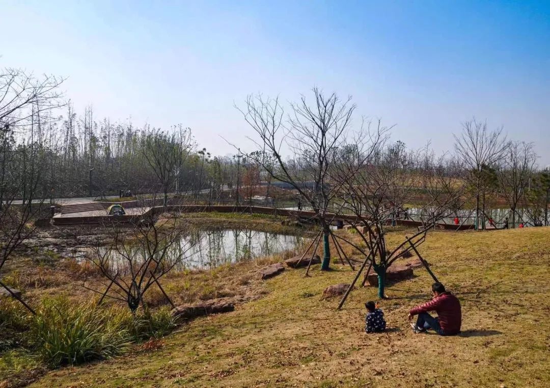 金华赤山公园正式开园一睹最新实景图