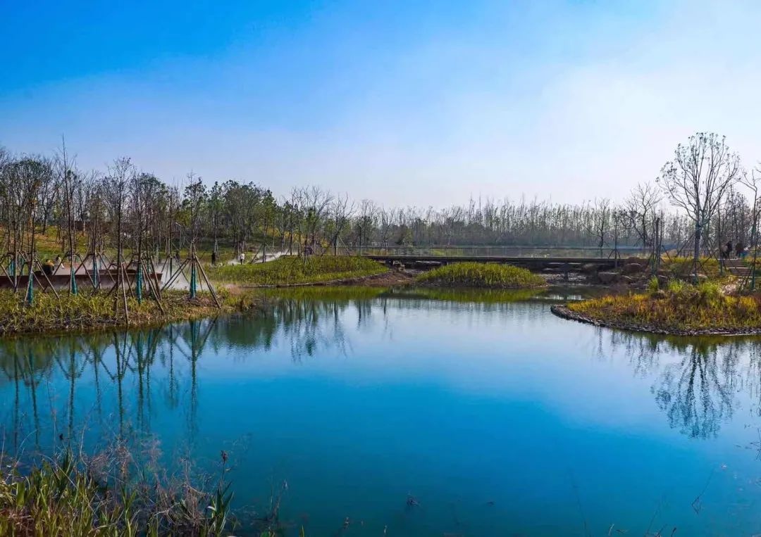 金华赤山公园正式开园一睹最新实景图