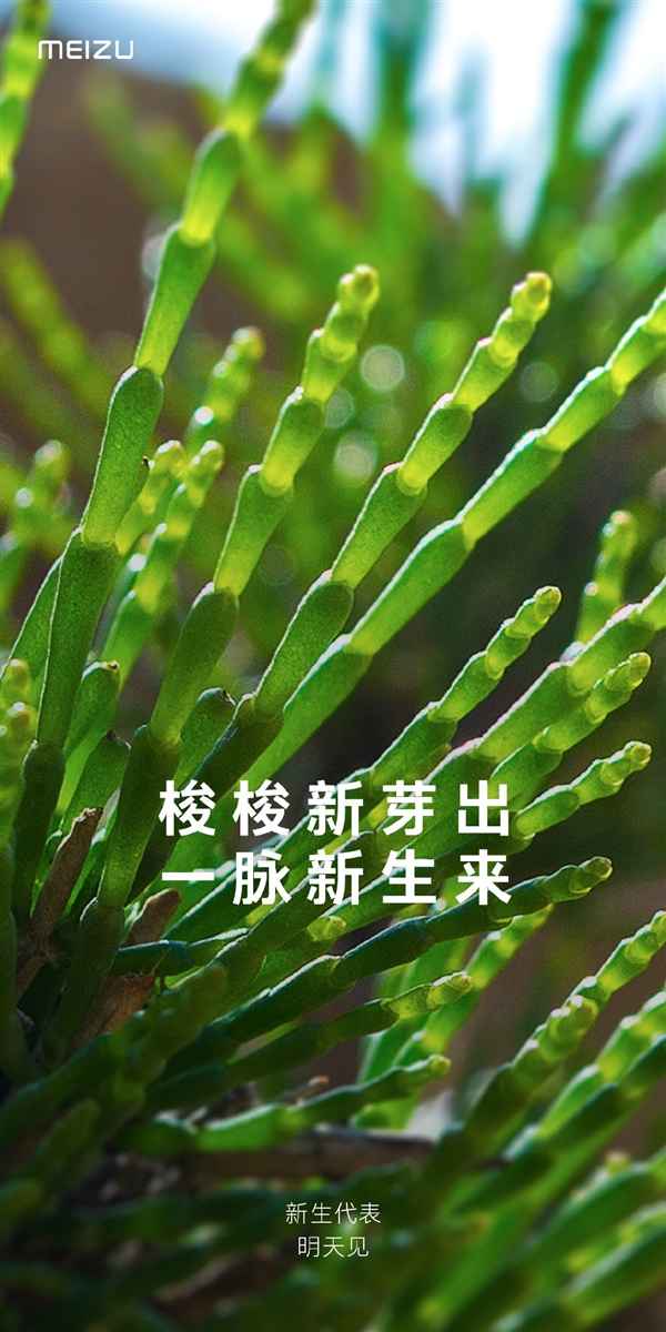 魅蓝回归首款手机要来了？魅族官宣：新生代表明天见！