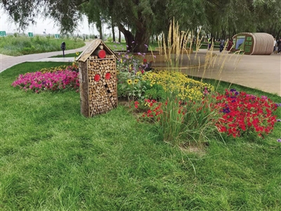 干枯树木变身园林小品