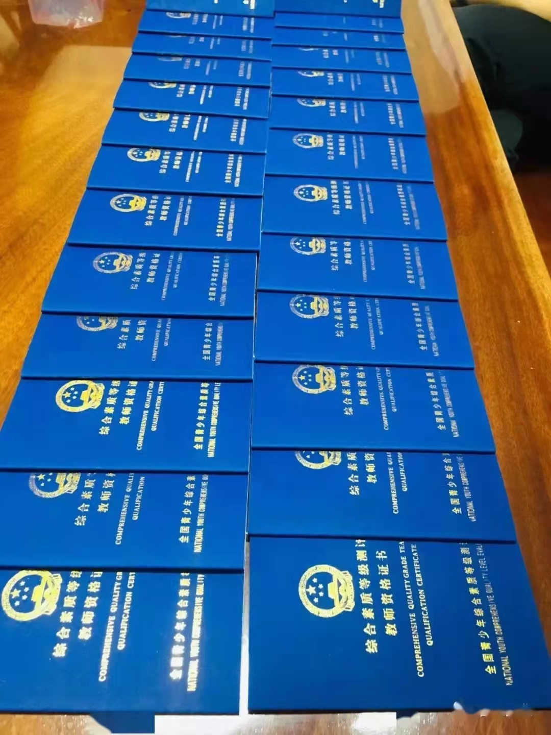 全国中小学生综合素质等级测评中心"制发的"综合素质等级测评教师资格