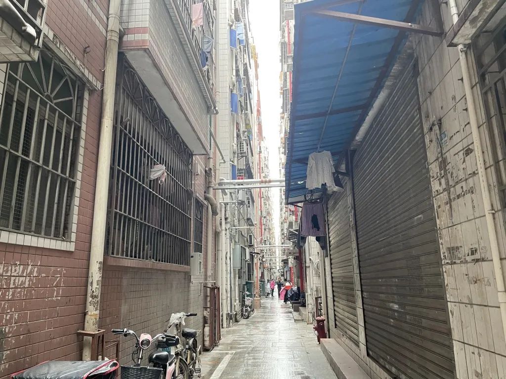 传说中的"黄贝岭",如今有了新名片→|香港|深圳市_新浪科技_新浪网