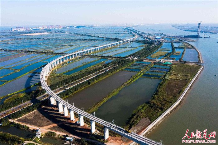 全线共设8个车站,其中,黄圃站为客货运车站;南沙港站,南沙港南站,万顷