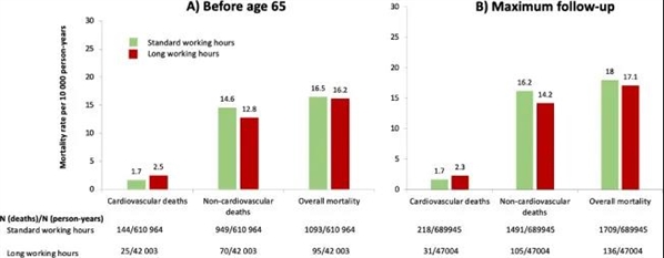 ▲ 主要分析中标准时间工作和长时间工作参与者的死亡率对比