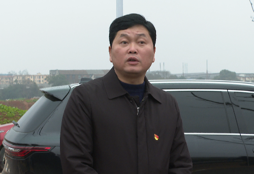 杨智勇考察中心城区水环境综合治理项目要求让每个生态修复点都成为小