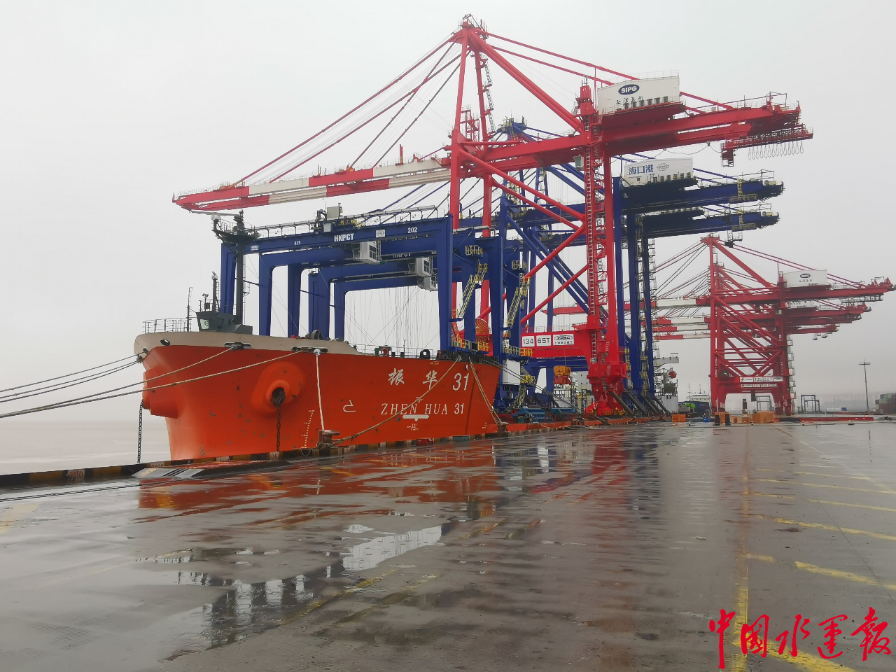 洋山港集装箱吞吐量再创新高,新年首批新增桥吊顺利