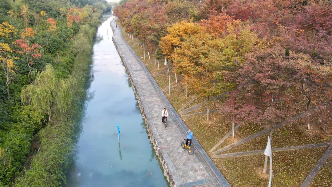 匡河岸边冬景宜人.全媒体记者 宋炎骏 摄