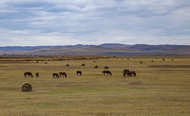 年终奖马上到手 2022年买什么相机之佳能篇