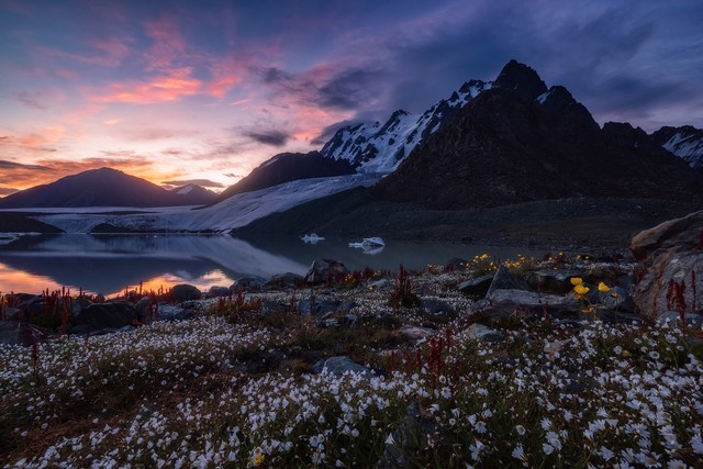 年终奖马上到手 2022年买什么相机之佳能篇