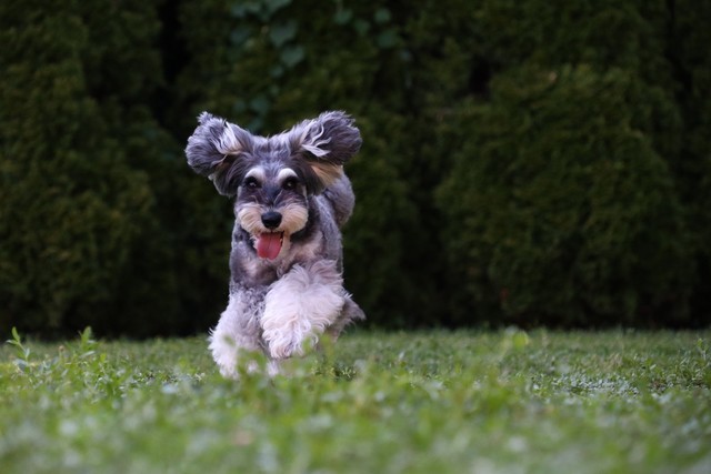 年终奖马上到手 2022年买什么相机之佳能篇