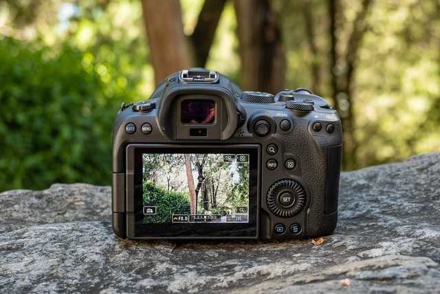 年终奖马上到手 2022年买什么相机之佳能篇