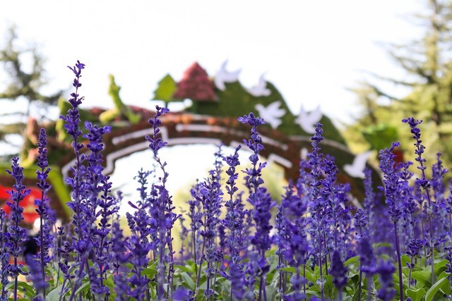 年终奖马上到手 2022年买什么相机之佳能篇