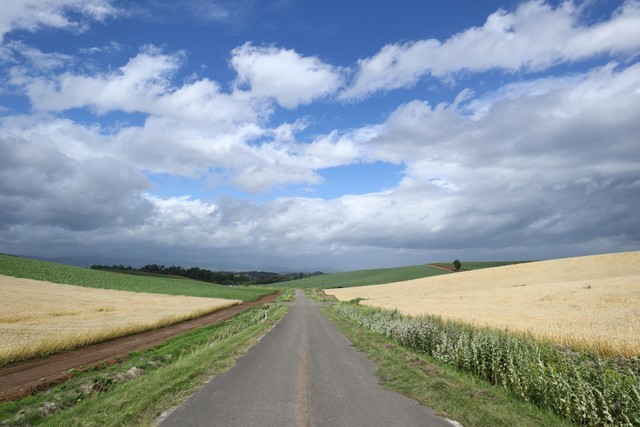 年终奖马上到手 2022年买什么相机之佳能篇