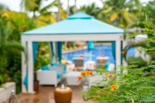 年终奖马上到手 2022年买什么相机之佳能篇