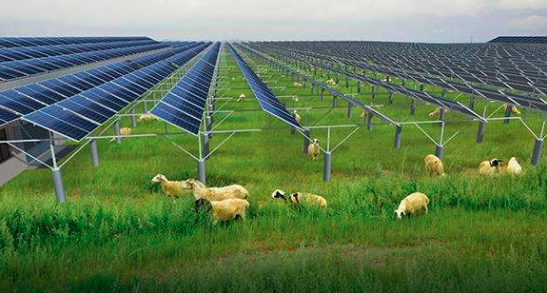 农业碳中和 | 农村能源转型与乡村振兴