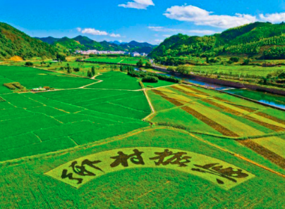 农业碳中和 | 农村能源转型与乡村振兴