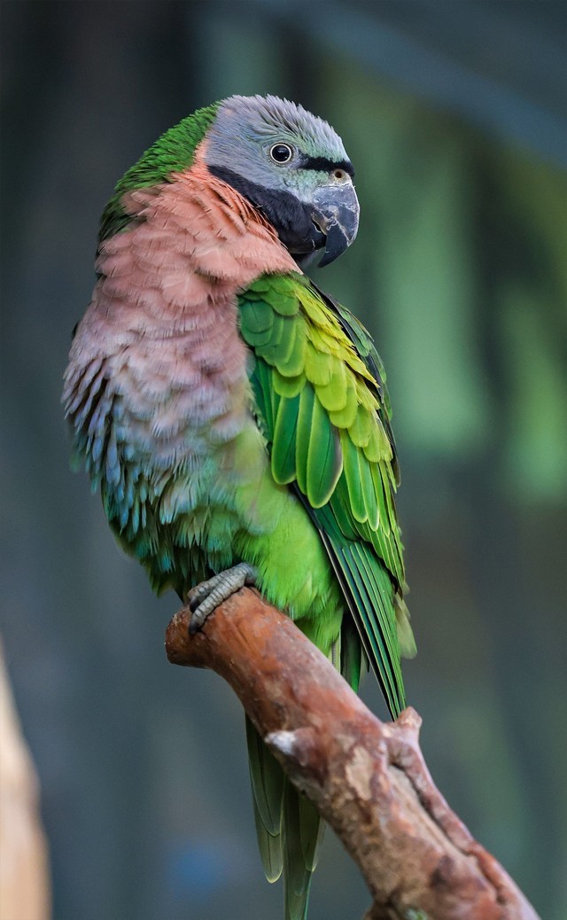 年终奖马上到手 2022年买什么相机之佳能篇