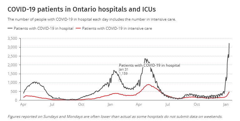 加拿大安大略省因感染新冠病毒住院人数首超3000人