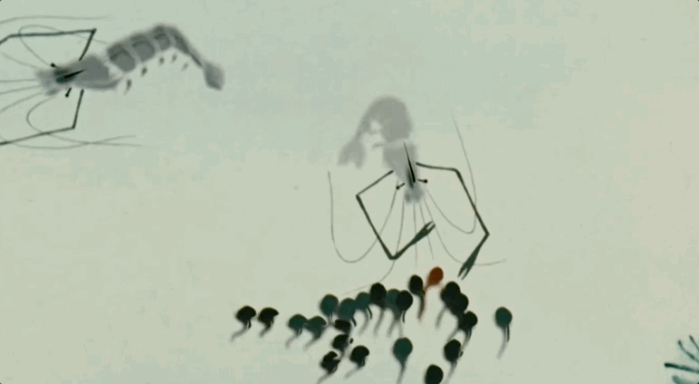 《小蝌蚪找妈妈》片段